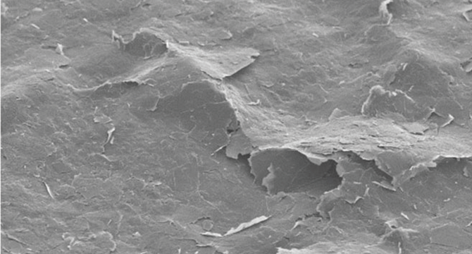 Graphene dispersion for battery conductive agent