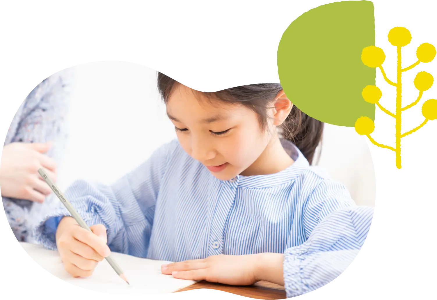 Paletteのゆめ |イメージ画像02