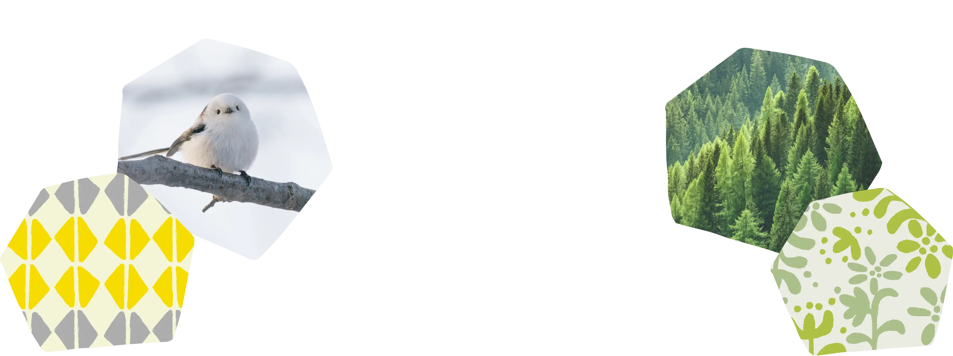 鳥&木々の風景 | イメージ画像01