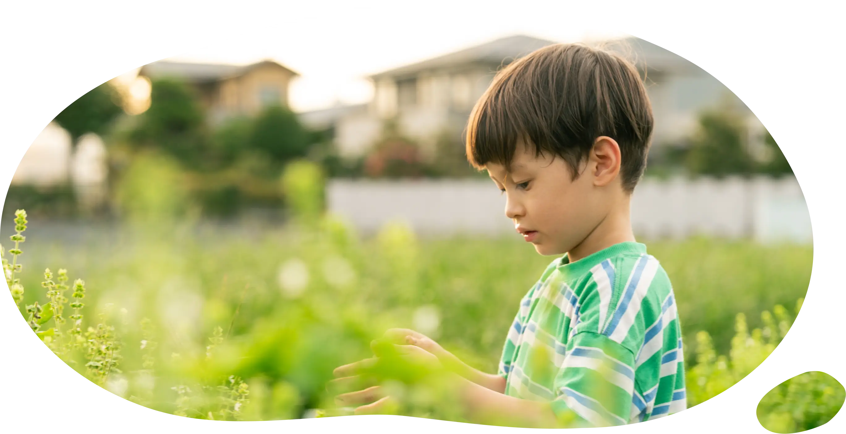 イメージ画像02